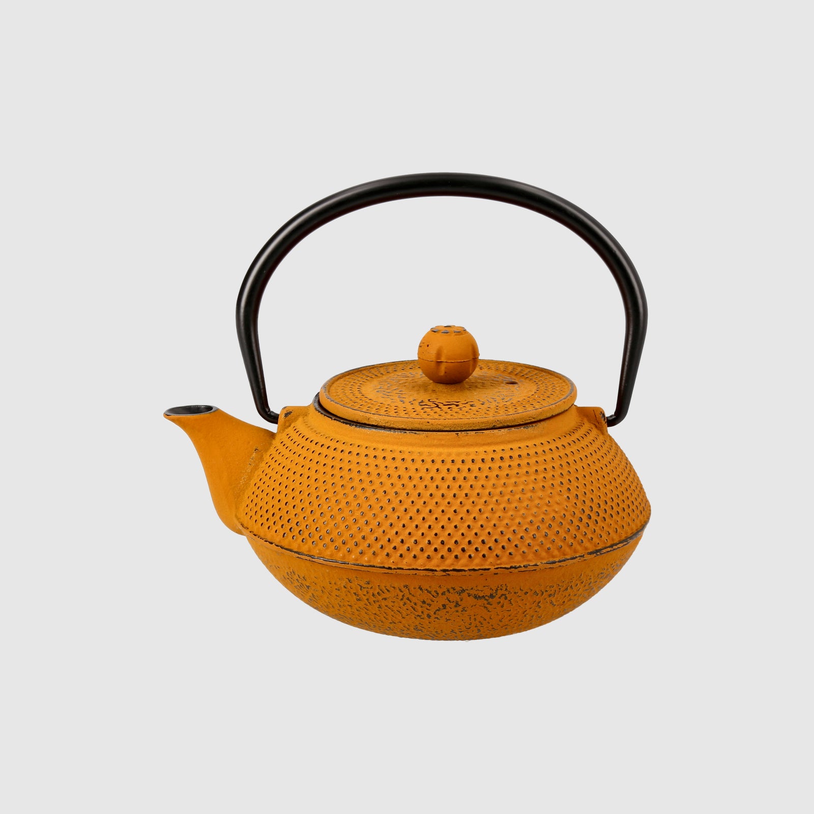 Cast Iron Teapot - 0.8L